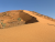 land-degradation